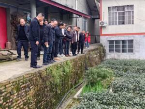 吴场镇仁和村.png